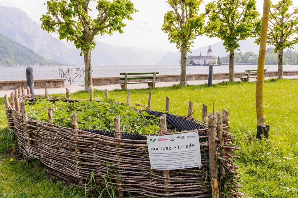 Urban Gardening