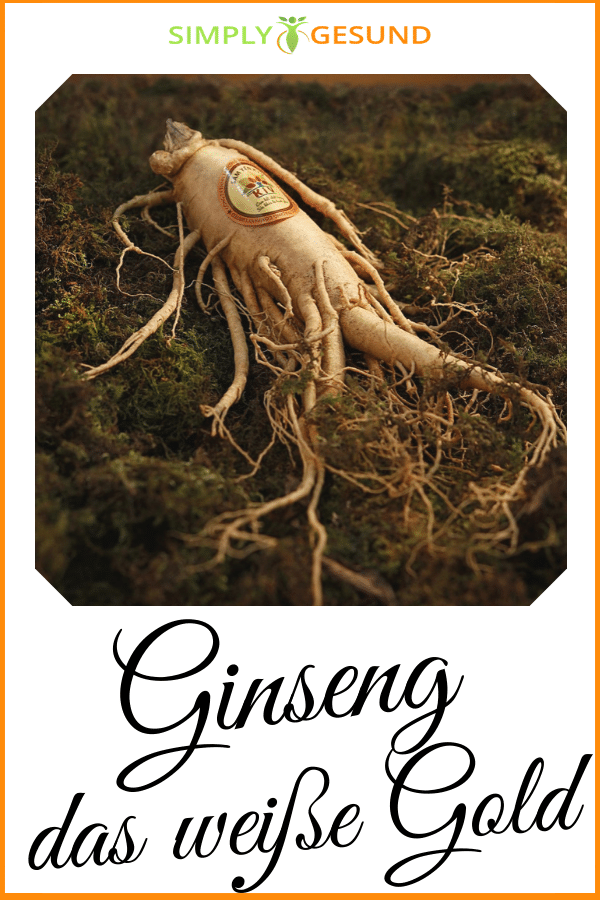 11 Anwendungsgebiete, bei denen Ginseng helfen kann SimplyGesund