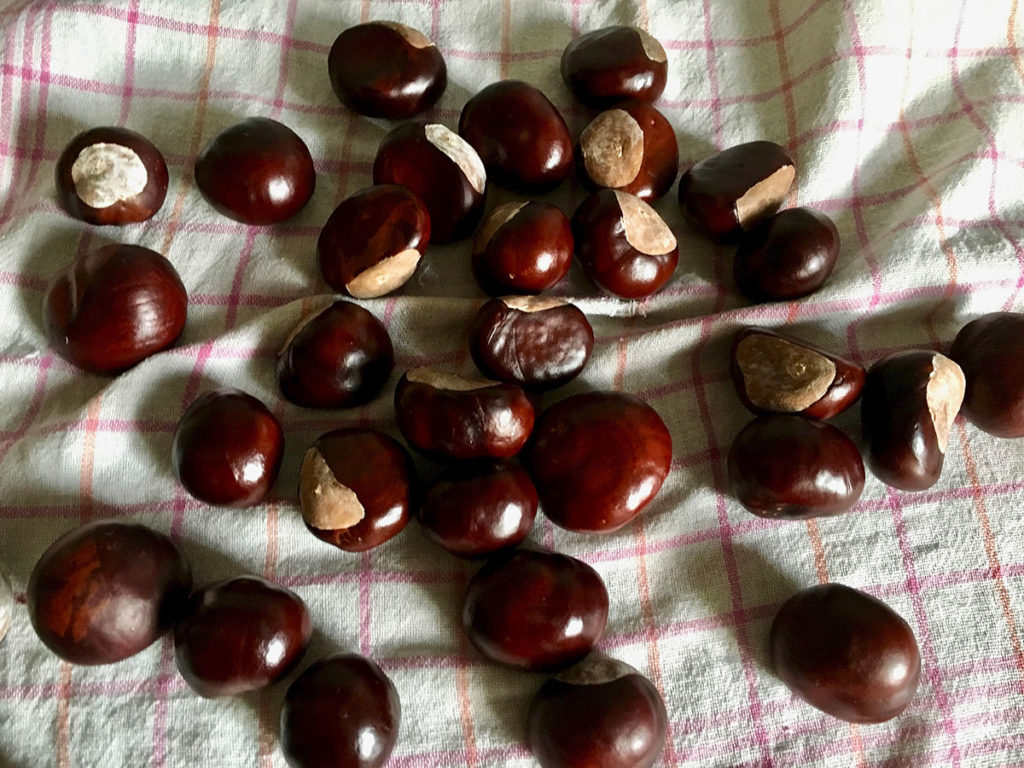 Waschmittel aus Kastanien