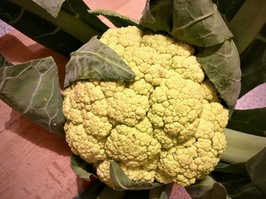 Blumenkohlsuppe