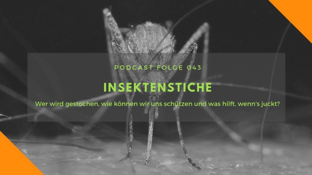 Insektenstiche